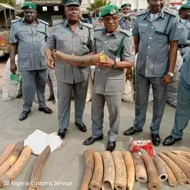 Customs Intercepts Contraband Worth Over N1.84 Billion in Southwest Anti-Smuggling Operations