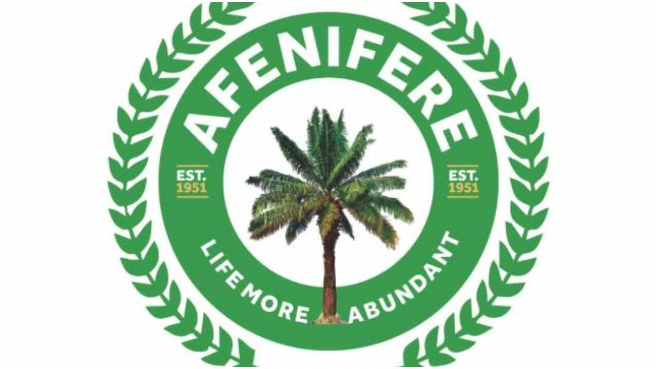 Afenifere Urges Tinubu to Seek Global and Local Support as Insecurity Threatens Nigeria’s Stability