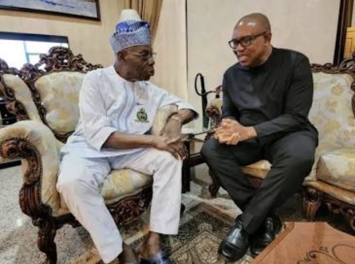 State & Institutional Politics
